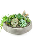 Concrete Succulent Planting - Green Fresh Florals + Plants