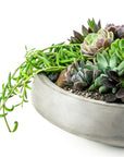 Concrete Succulent Planting - Green Fresh Florals + Plants