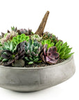 Concrete Succulent Planting - Green Fresh Florals + Plants