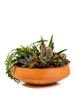 Concrete Succulent Planting - Green Fresh Florals + Plants