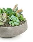 Concrete Succulent Planting - Green Fresh Florals + Plants
