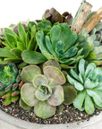 Concrete Succulent Planting - Green Fresh Florals + Plants