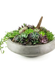 Concrete Succulent Planting - Green Fresh Florals + Plants