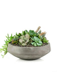 Concrete Succulent Planting - Green Fresh Florals + Plants