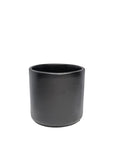 Contemporary Cylinder Container - Green Fresh Florals + Plants