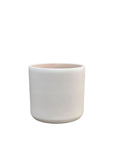 Contemporary Cylinder Container - Green Fresh Florals + Plants