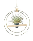 Double Ring Plant Shelf Hanger - Green Fresh Florals + Plants