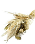 Dried Griffin Bouquet - Green Fresh Florals + Plants