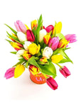Eye Love U Tulips - Green Fresh Florals + Plants
