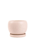 Gemstone Bollé Pot - Green Fresh Florals + Plants
