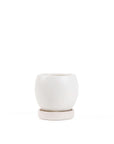 Gemstone Bollé Pot - Green Fresh Florals + Plants