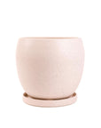 Gemstone Bollé Pot - Green Fresh Florals + Plants
