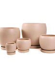 Gemstone Bollé Pot - Green Fresh Florals + Plants