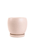 Gemstone Bollé Pot - Green Fresh Florals + Plants