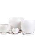 Gemstone Bollé Pot - Green Fresh Florals + Plants