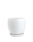 Gemstone Bollé Pot - Green Fresh Florals + Plants