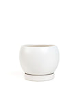 Gemstone Bollé Pot - Green Fresh Florals + Plants