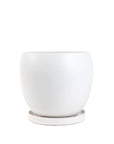 Gemstone Bollé Pot - Green Fresh Florals + Plants