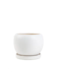 Gemstone Bollé Pot - Green Fresh Florals + Plants