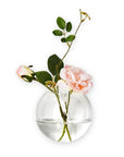 Glass Ball Wall Vase - Green Fresh Florals + Plants