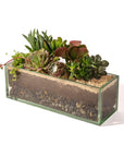 Glasshaus Succulent Planting - Green Fresh Florals + Plants