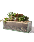Glasshaus Succulent Planting - Green Fresh Florals + Plants