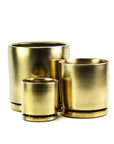 Gold Gemstone Cylinder - Green Fresh Florals + Plants