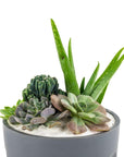 Granite Desert Gem Garden - Green Fresh Florals + Plants