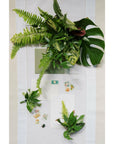 Green Monochrome A la Carte Boutonnière - Green Fresh Florals + Plants