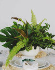 Green Monochrome A la Carte Centerpiece - Green Fresh Florals + Plants