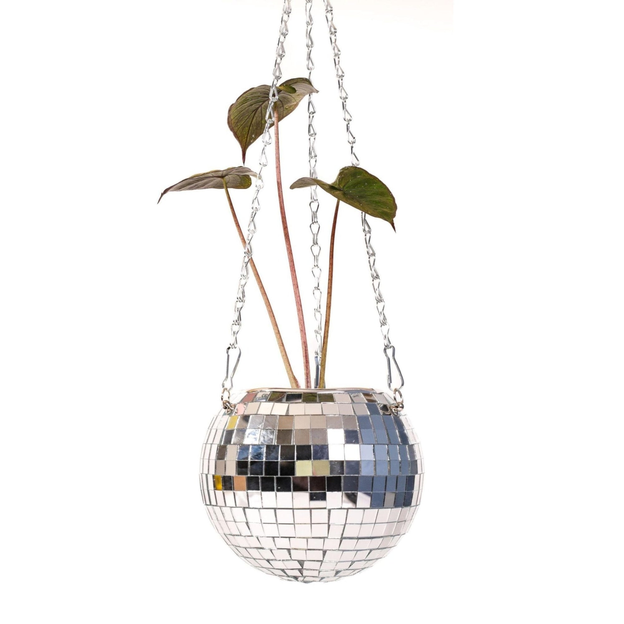 Hanging Disco Ball Planter - Green Fresh Florals + Plants