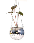 Hanging Disco Ball Planter - Green Fresh Florals + Plants