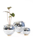 Hanging Disco Ball Planter - Green Fresh Florals + Plants