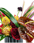 Hermosa Fire Tropical Floral - Green Fresh Florals + Plants