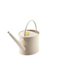 Indoor Watering Can - Green Fresh Florals + Plants