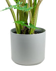Kendall Ceramic Pot Collection - Green Fresh Florals + Plants