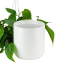 Kendall Ceramic Pot Collection - Green Fresh Florals + Plants