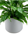 Kendall Ceramic Pot Collection - Green Fresh Florals + Plants