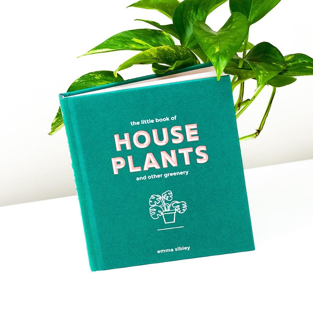 Little Book of Houseplants and Other Greenery - Green Fresh Florals + Plants