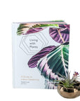Living with Plants | A Guide to Indoor Gardening - Green Fresh Florals + Plants