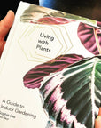 Living with Plants | A Guide to Indoor Gardening - Green Fresh Florals + Plants