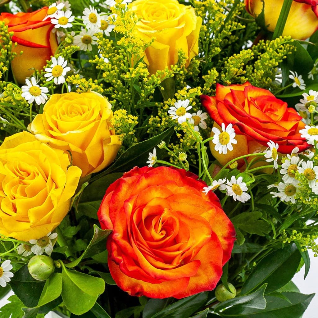 Long-Stem Rose Bouquet - Green Fresh Florals + Plants