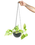 Mini Mofo Hanging Dish - Green Fresh Florals + Plants