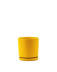 Momma Pots Jewel Tone Gemstone Cylinder - Green Fresh Florals + Plants