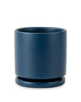 Momma Pots Jewel Tone Gemstone Cylinder - Green Fresh Florals + Plants