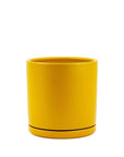 Momma Pots Jewel Tone Gemstone Cylinder - Green Fresh Florals + Plants