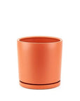 Momma Pots Jewel Tone Gemstone Cylinder - Green Fresh Florals + Plants