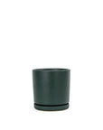 Momma Pots Jewel Tone Gemstone Cylinder - Green Fresh Florals + Plants