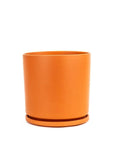 Momma Pots Jewel Tone Gemstone Cylinder - Green Fresh Florals + Plants