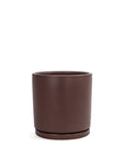 Momma Pots Jewel Tone Gemstone Cylinder - Green Fresh Florals + Plants